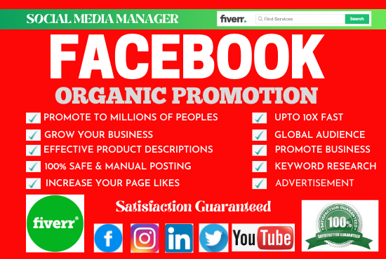 I will do organic Facebook promotion and advertising to gain USA, UK traffic