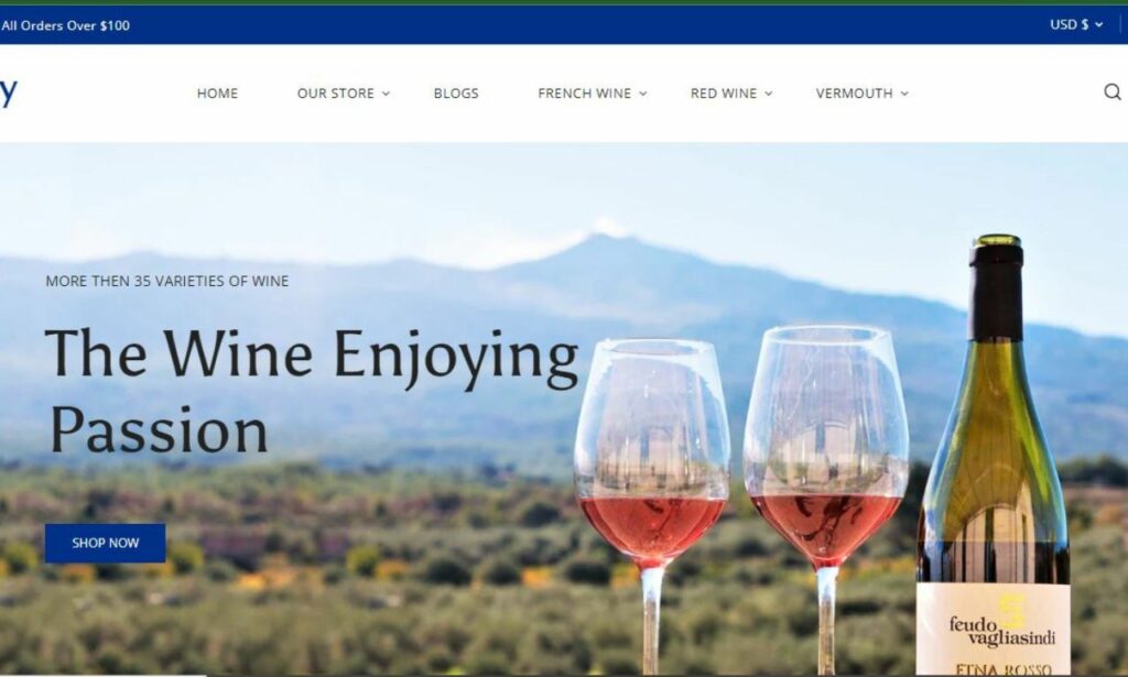 I will build a high converting wine shopify website beverage dropshipping shopify store