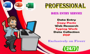 I will be data entry, email finding or virtual assistant