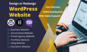 I will create Professional WordPress Business with Blog Website