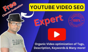 I will do best youtube video SEO and promotion expert optimization and channel growth