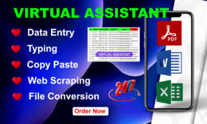 I will help you as virtual assistant for data entry, web scraping