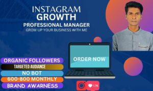 I will do instagram marketing and grow your f0llowers with safely manage your account