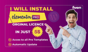 I will install elementor pro and create wordpress website using elementor pro