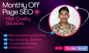I will monthly off page link building SEO backlinks