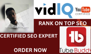 I will rank youtube video SEO with vidiq and tubebuddy