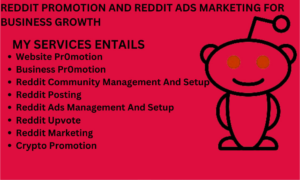 I will do exclusive reddit promotion and reddit ads marketing for business growth