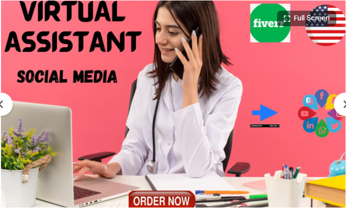 I will digital marketing virtual assistant and social media management