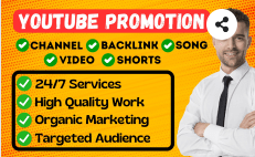 I will do organic youtube video promotion to rank your video