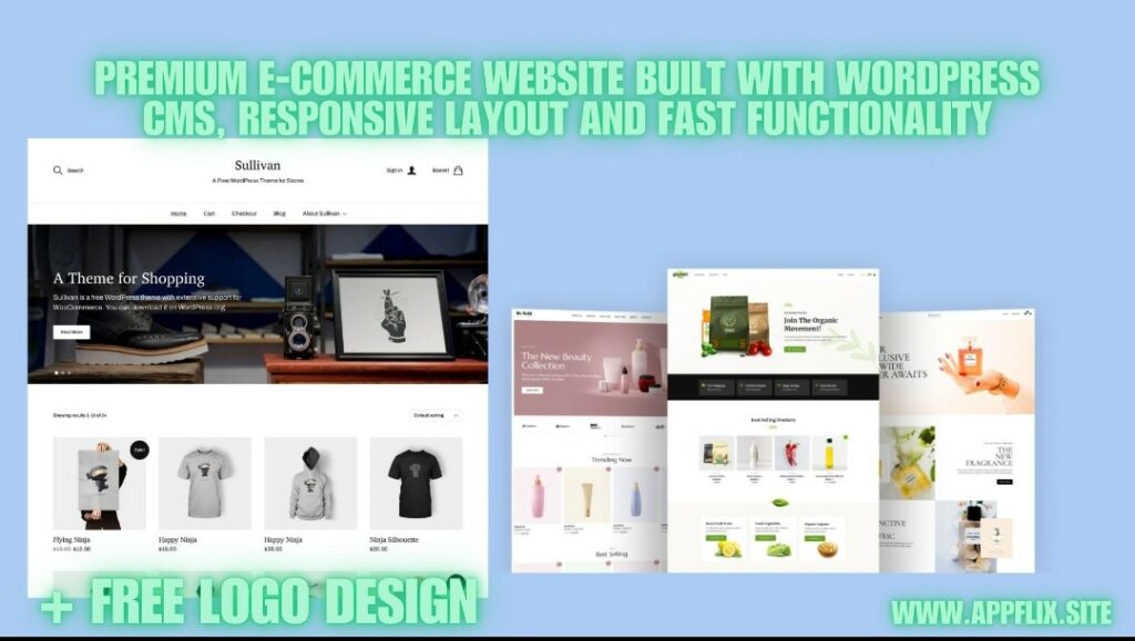 I will build premium ecommerce website with wordpress cms and responsive layout