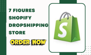 I will build a professional shopify store shopify website dropshipping store
