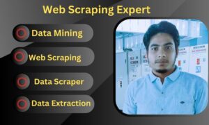 I will do web scraper, data mining, data scraping