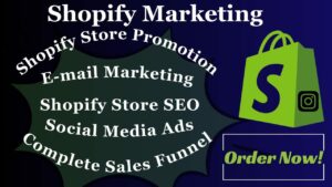 I will do shopify store promotion, shopify marketing, sales funnel, to boost your sales