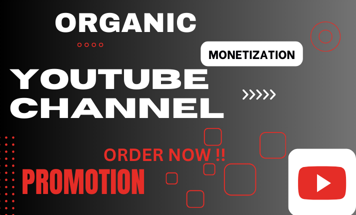 I will do organic youtube channel promotion and monetization