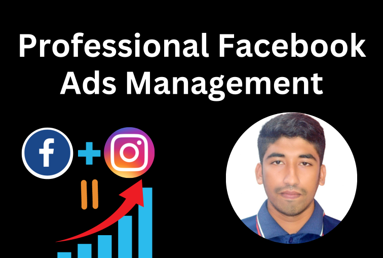 Professional Facebook Advertising Campaigns