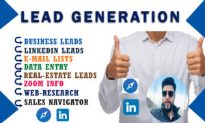 I will b2b and b2c leads generation, business email, data mining and email finder