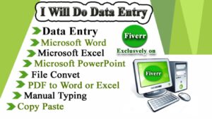 I will be your virtual assistant for data entry and web research