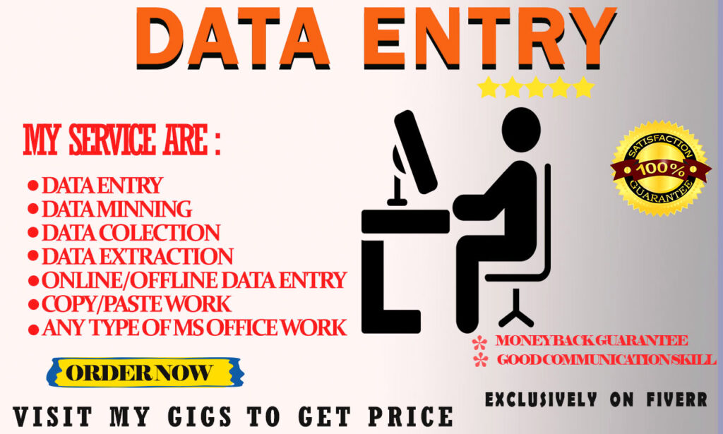 do any type of excel data entry typing job, copy paste , web research