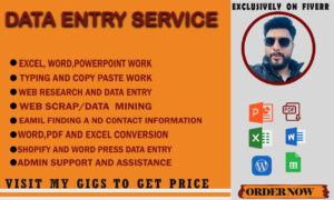 dI will do efficient excel data entry, web scraping, data mining,copy past,email finding