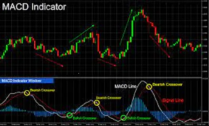I will code forex expert advisor and trading bot for mt4 mt5 metatrader in mql4 mql5