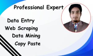 I will web scraping,data mining, copy paste