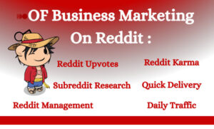 I will do business ecommerce marketing, saas, increase growth with reddit promotion