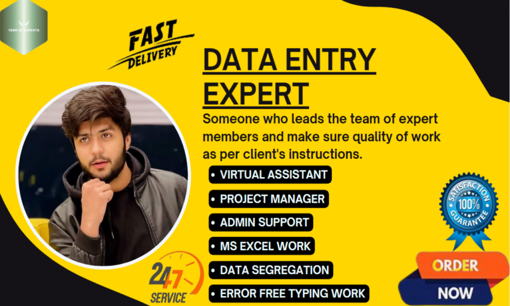 I will be your best professional fast data entry expert and virtual assistant.