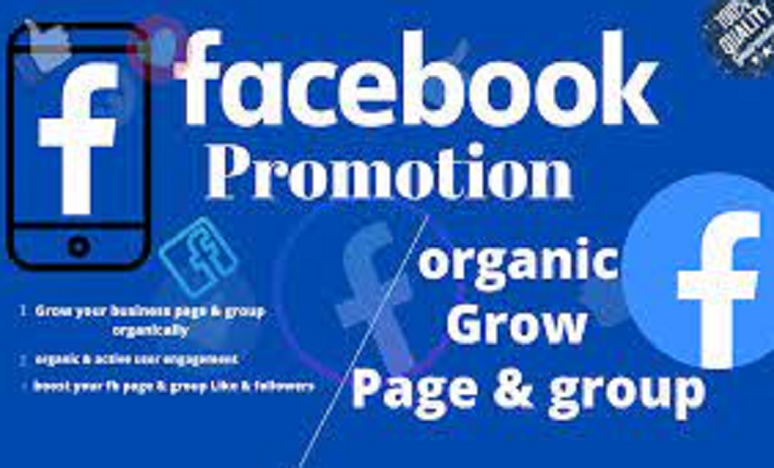 I will promote, grow your facebook page, fb group with new promotion strategy