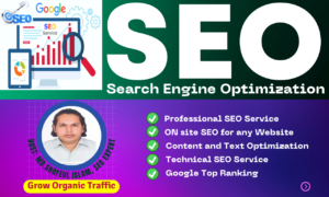 I will optimize website SEO on wordpress, shopify, wix, squarespace