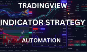 I will program tradingview pinescript according to the specifications