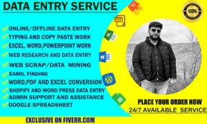 be your virtual assistant for excel data entry,copy paste and email finding