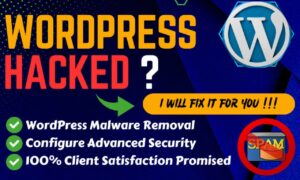 I will do wordpress malware removal with wordpress security and clean virus