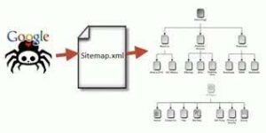 I will do XML sitemap and robots txt for your website SEO