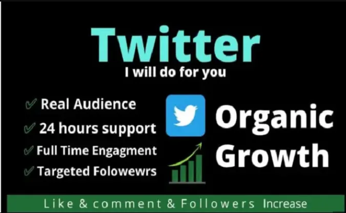 I will do twitter promotion and marketing with organic growth