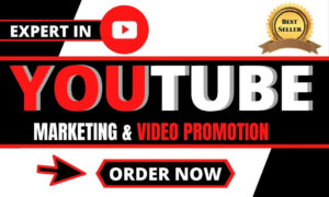 I will do youtube video promotion and channel by google ads to gain more views, subs