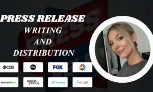 I will write press release public relation pr distribution press release writing ebook