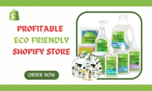 I will design elegant and profitable eco friendly shopify store organic products store