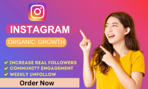 I will do very fast organic instagram promotion, growth and manage