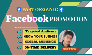 I will grow your business worldwide by organic facebook promotion