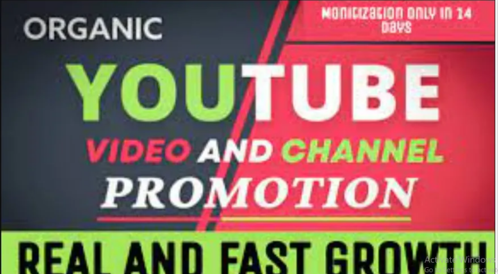 I will boost your youtube channel with expert promotion strategies