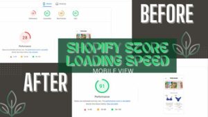 I will do shopify speed optimization, shopify speed optimization, boost core web vitals
