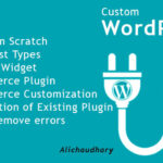 Custom Plugin Developer