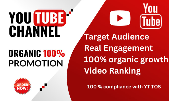 I will do pure organic youtube promotion for you