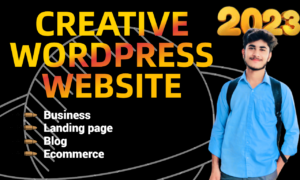 I will fix wordpress websites, bugs, error, issues and help