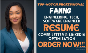 I will craft engineering, software engineer, faang, tech, IT, construction resume