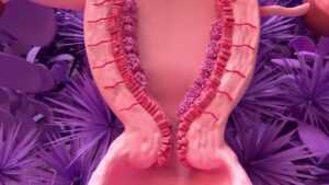 I will create high quality of 3d medical animation, virus, scientific product animation