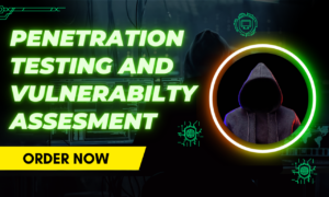 I will perform penetration testing and vulnerability assessment in your web application