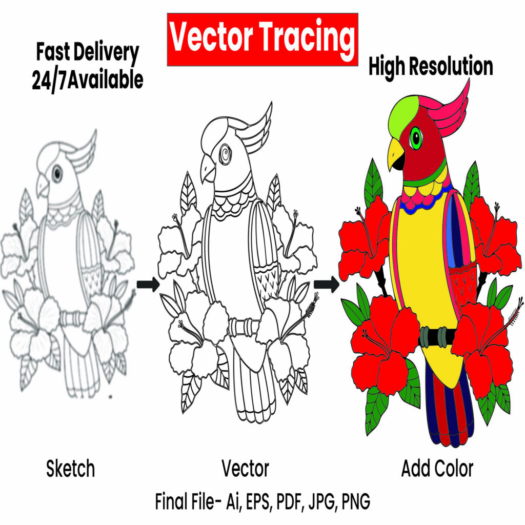 I will vector tracing, sketch to vector, redrawing images