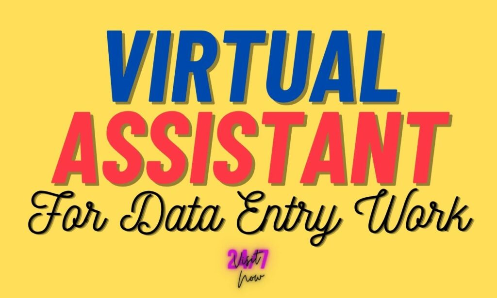 I will be your virtual assistant for accurate data entry work