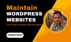 I will do wordpress maintenance, website support, and update
